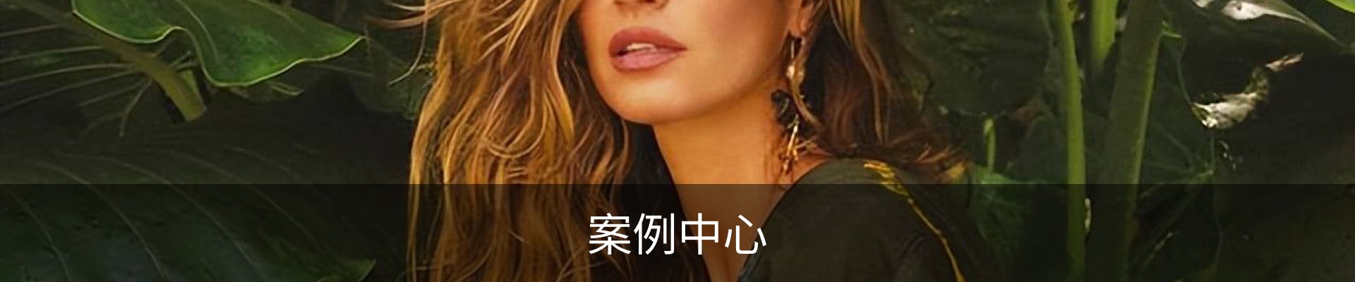 案例中心